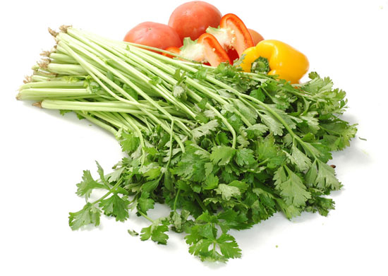 芹菜的营养价值,芹菜叶子能吃吗,孕妇能吃芹菜