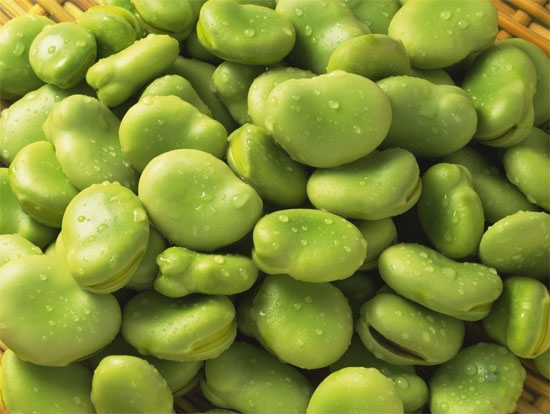 蚕豆的营养价值及功效与作用