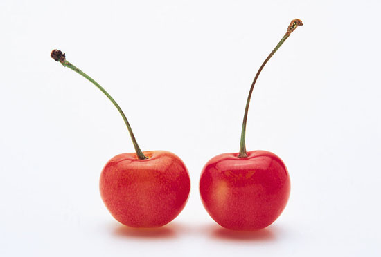 樱桃的营养价值,车厘子和樱桃的区别,孕妇能吃樱桃吗