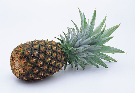 菠萝的营养价值、功效与作用及吃法