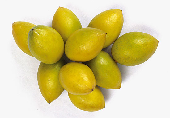 橄榄的营养价值、功效与作用及食用方法