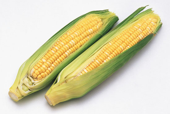 玉米的营养价值、功效与作用及食用方法