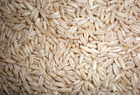 燕麦的营养价值,燕麦功效与作用及食用方法,怎么吃,吃法