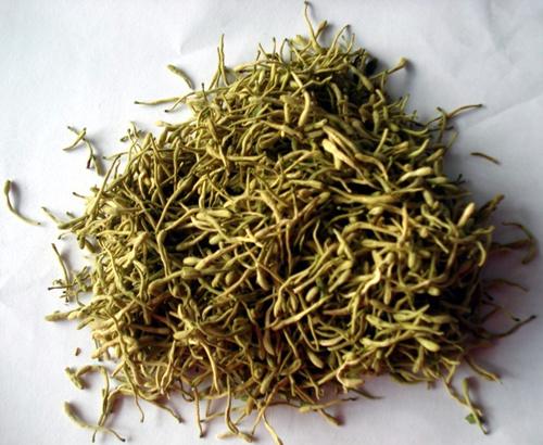 金银花茶的功效与作用,孕妇能喝金银花茶,制作方法