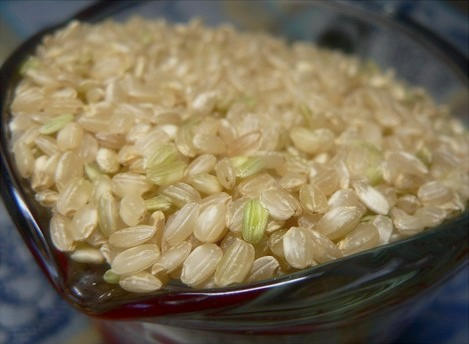 糙米的功效与作用,是什么米,糙米茶怎么吃