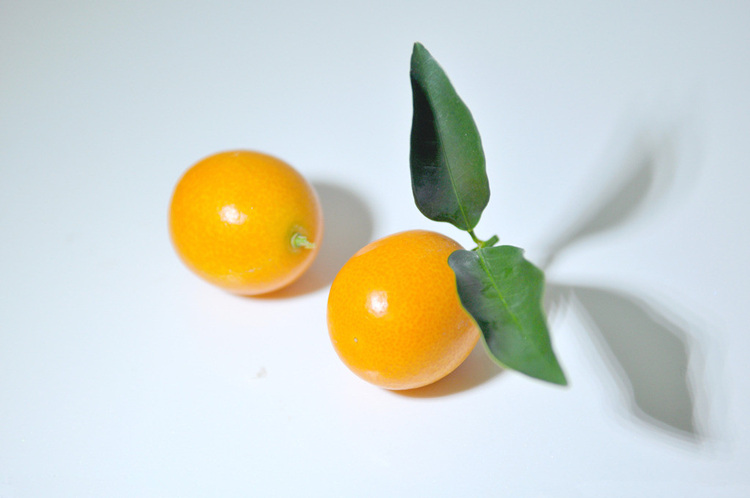 金桔的功效与作用,金橘的营养价值