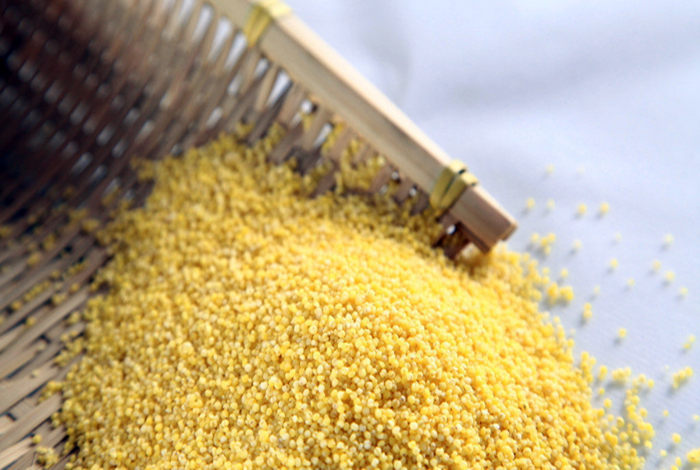 小米的营养价值,粟米的功效与作用