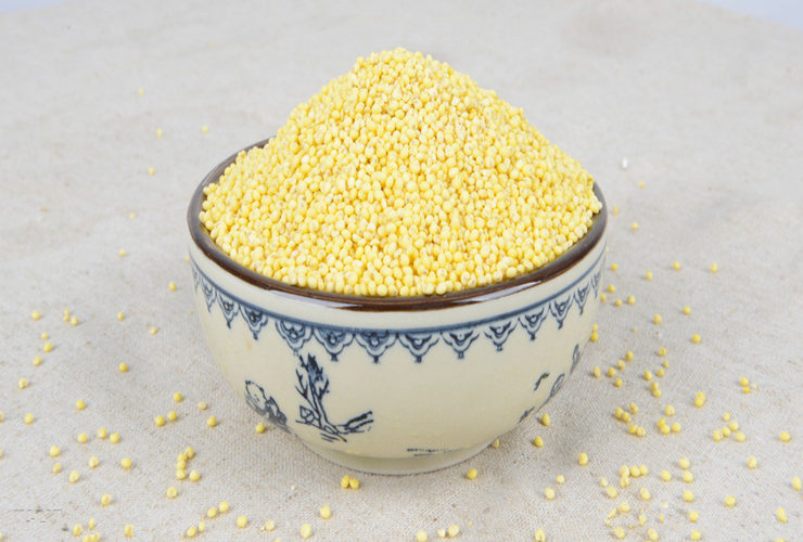 黄米的营养价值,小黄米的功效与作用