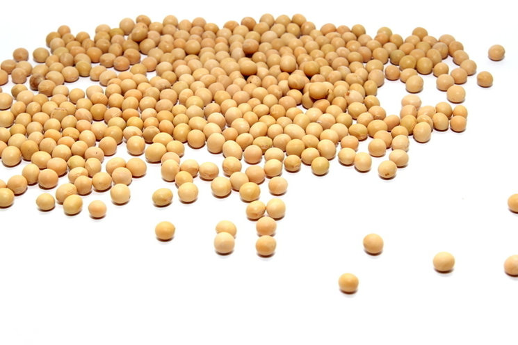 黄豆的功效与作用,大豆的营养价值
