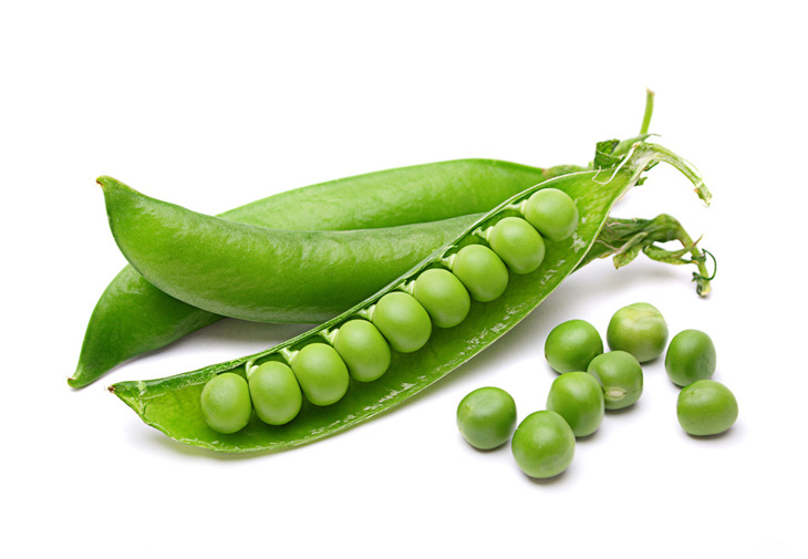 豌豆的功效与作用、营养价值