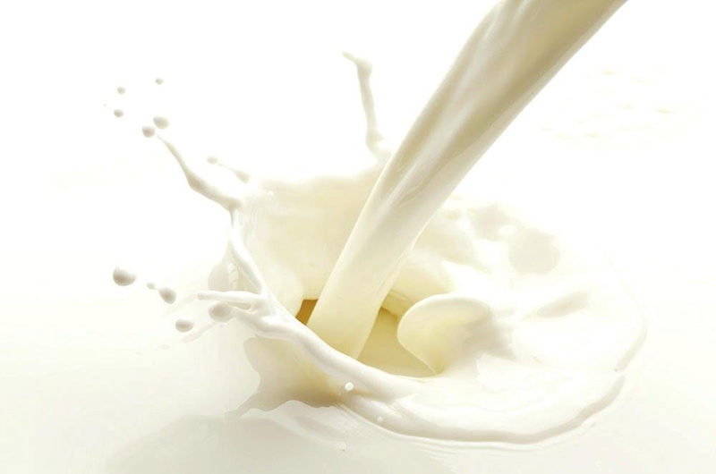 纯牛奶的营养价值及功效与作用