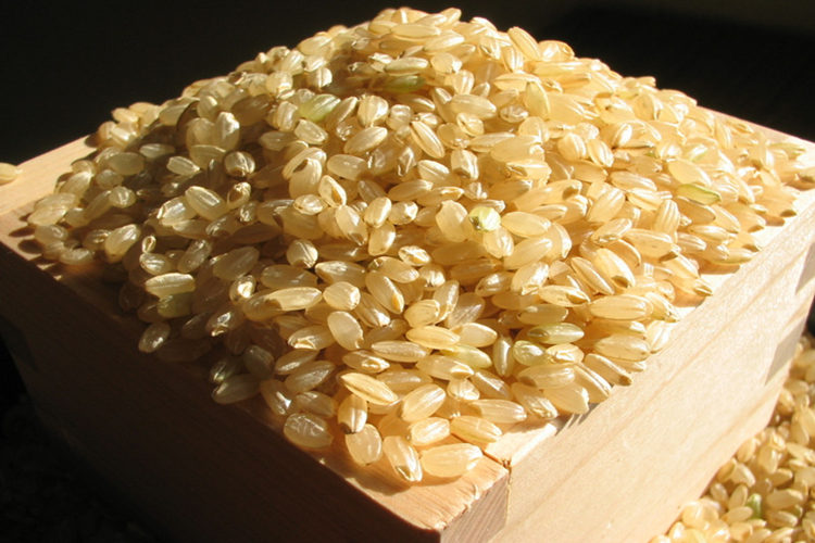 糙米的功效与作用