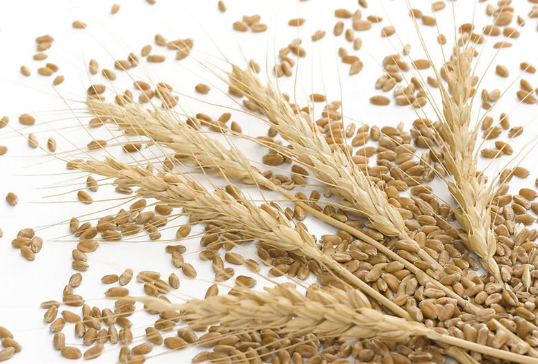 面粉的营养价值,小麦面粉的功效与作用